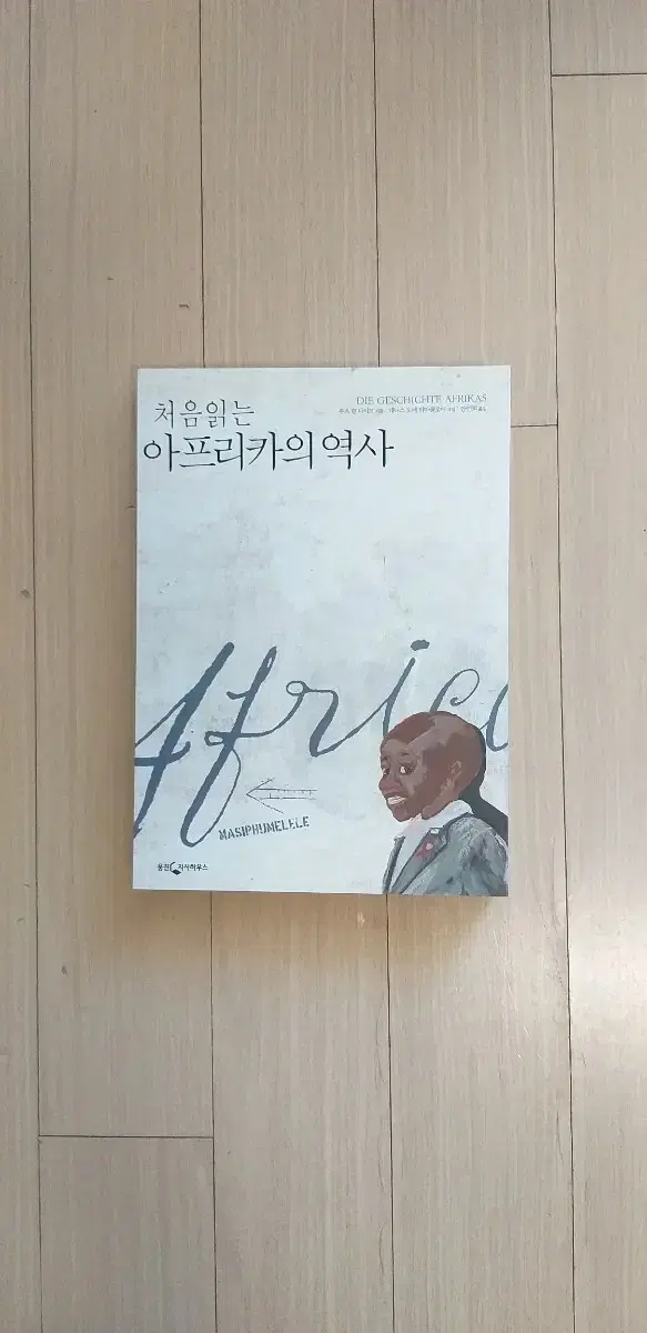 책/처음 읽는 아프리카의 역사